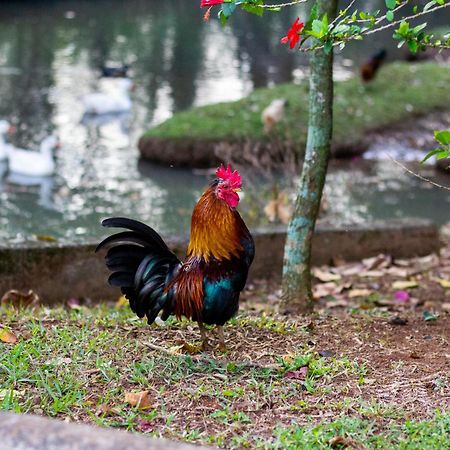 Polo Hotel Fazenda อินไดย์อาตูบา ภายนอก รูปภาพ